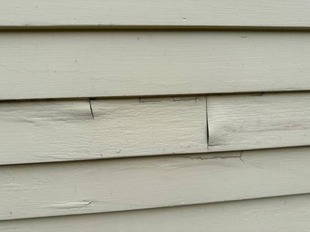 Best Custom Trim and Detailing for Siding  in Nevada City, CA